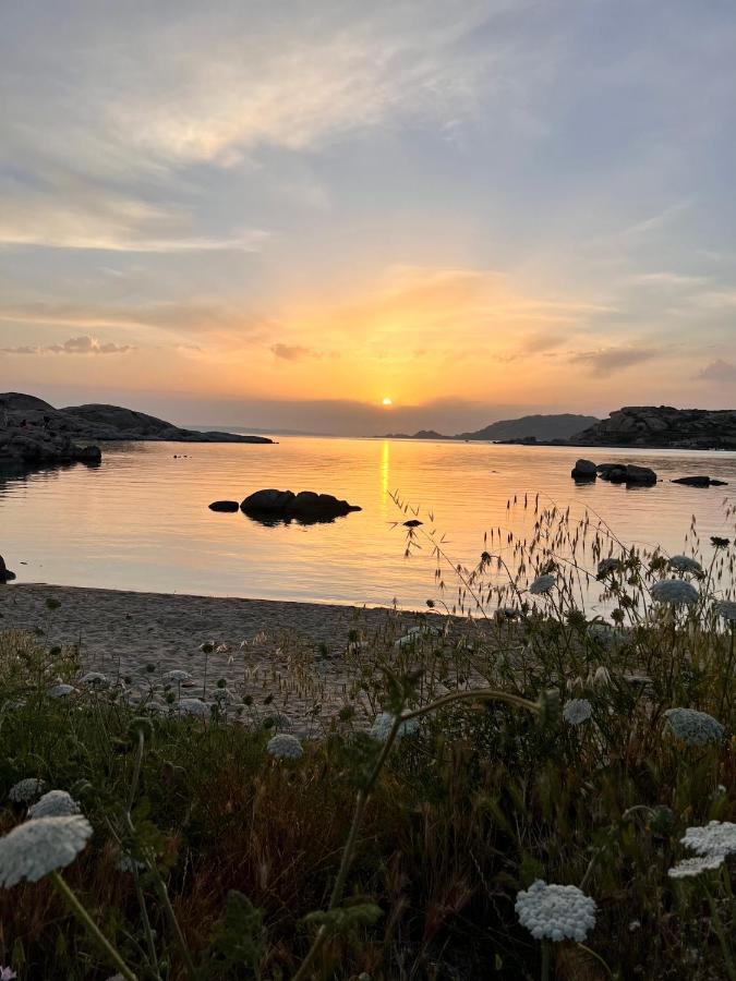 Il Maestrale Apartment La Maddalena  Ngoại thất bức ảnh